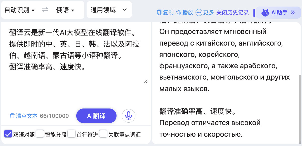 俄语有道翻译在线翻译:您的精准高效俄文沟通伙伴